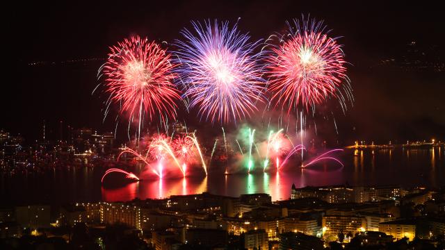 Feux d'artifice de la socit Pyrovision (Autriche) au Festival d'Art Pyrotechnique de Cannes 2010 (Photo by Eric Dervaux)