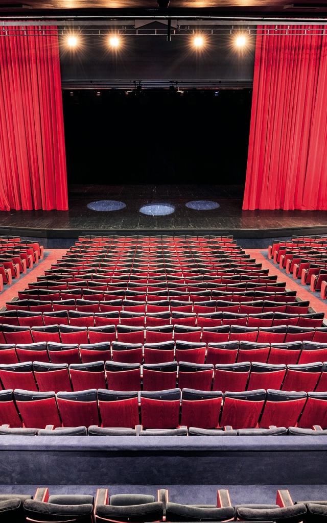 Grand Auditorium Louis Lumiere