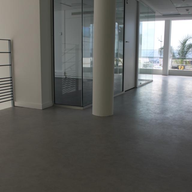 Palais Organizers' offices