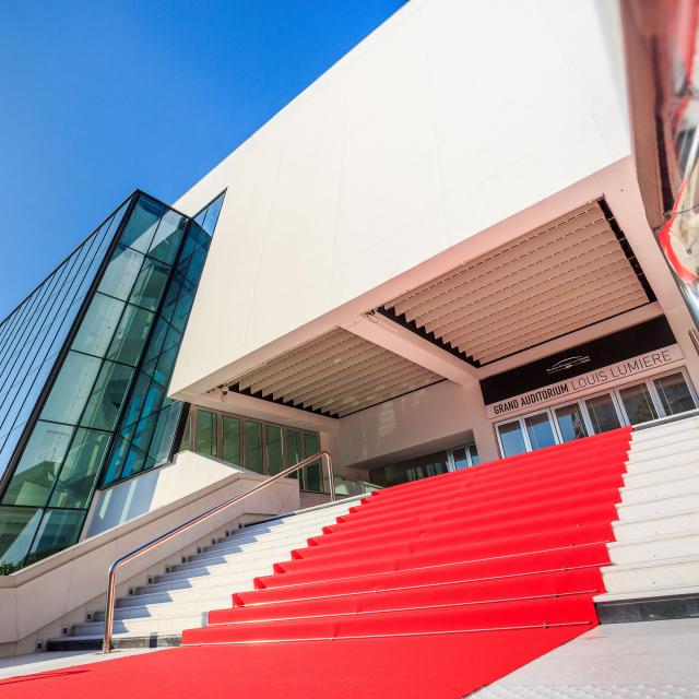 Palais de Cannes Tapis Rouge