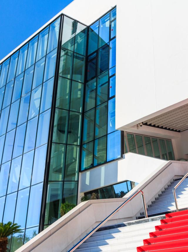 その他 Live At The Palais Des Festivals Cannes [DVD][Import] 71224UX4lgL._UF1000,1000_QL80_.jpg